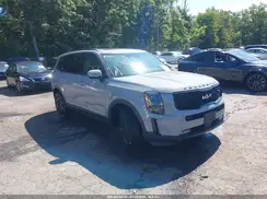 5XYP5DHC6NG233310 2022 KIA TELLURIDE