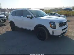 5XYP5DHC7LG058983 2020 KIA TELLURIDE