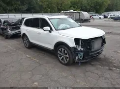 5XYP5DHC7MG102269 2021 KIA TELLURIDE