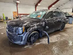 5XYP5DHC7NG204298 2022 KIA TELLURIDE