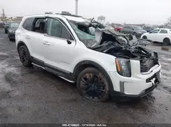 5XYP5DHC8LG020971 2020 KIA TELLURIDE