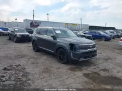 5XYP5DHC8LG025376 2020 KIA TELLURIDE