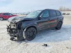 5XYP5DHC8NG262646 2022 KIA TELLURIDE