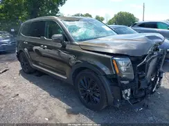5XYP5DHC9LG039013 2020 KIA TELLURIDE