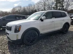 5XYP5DHC9LG075199 2020 KIA TELLURIDE