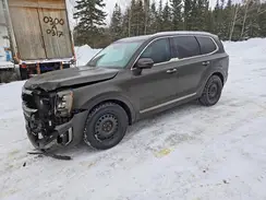 5XYP5DHC9MG162957 2021 KIA TELLURIDE