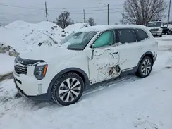 5XYP5DHCXLG007560 2020 KIA TELLURIDE