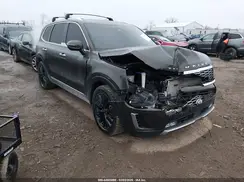 5XYP5DHCXLG019689 2020 KIA TELLURIDE