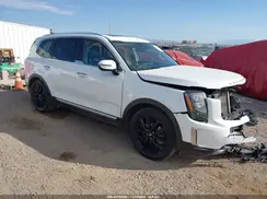 5XYP5DHCXLG052286 2020 KIA TELLURIDE