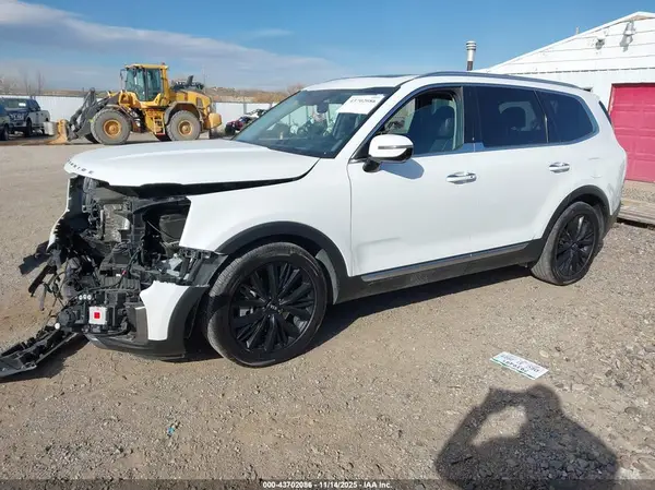 5XYP5DHCXLG052286 2020 KIA TELLURIDE - Image 2