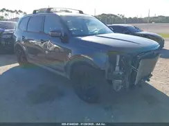 5XYP5DHCXMG141003 2021 KIA TELLURIDE