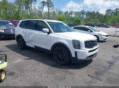 5XYP5DHCXMG167178 2021 KIA TELLURIDE
