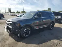 5XYP64GC0RG436164 2024 KIA TELLURIDE