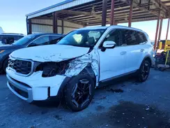 5XYP64GC0RG463316 2024 KIA TELLURIDE