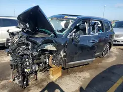 5XYP64GC0RG490175 2024 KIA TELLURIDE