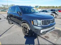 5XYP64GC0RG533087 2024 KIA TELLURIDE