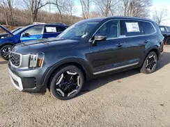 5XYP64GC0RG552027 2024 KIA TELLURIDE