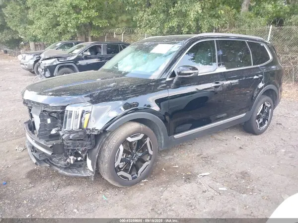 5XYP64GC0RG559611 2024 KIA TELLURIDE - Image 2
