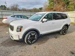 5XYP64GC0RG563674 2024 KIA TELLURIDE