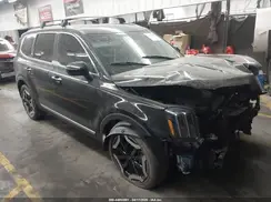 5XYP64GC0SG579069 2025 KIA TELLURIDE