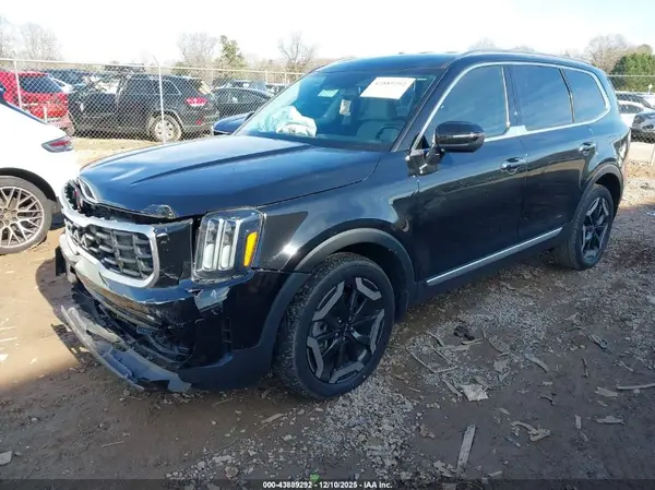 5XYP64GC1PG391054 2023 KIA TELLURIDE - Image 2