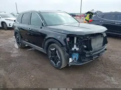 5XYP64GC1RG482411 2024 KIA TELLURIDE