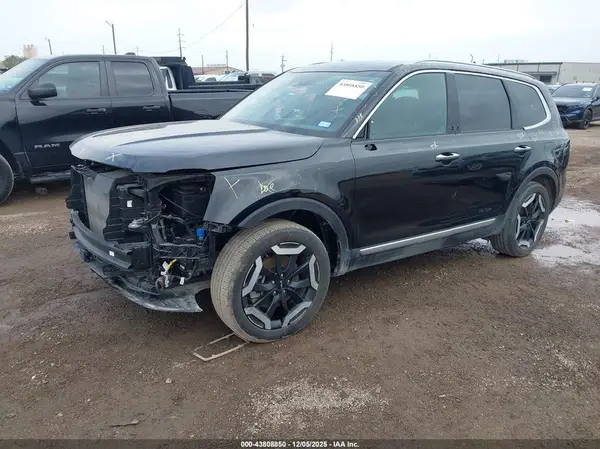 5XYP64GC1RG482411 2024 KIA TELLURIDE - Image 2