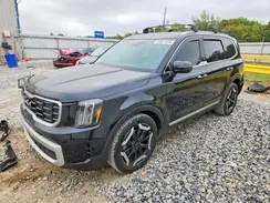 5XYP64GC1RG491531 2024 KIA TELLURIDE