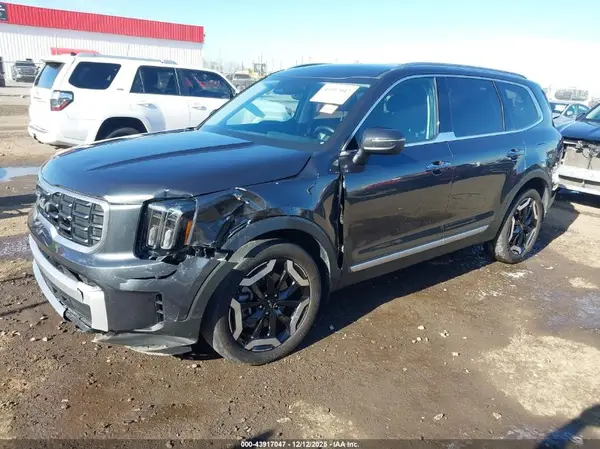 5XYP64GC1RG495028 2024 KIA TELLURIDE - Image 2