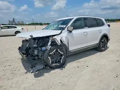 5XYP64GC1RG503774 2024 KIA TELLURIDE