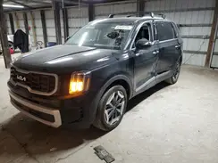 5XYP64GC1RG524799 2024 KIA TELLURIDE