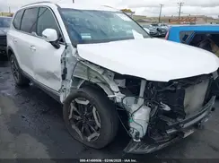 5XYP64GC1RG546818 2024 KIA TELLURIDE