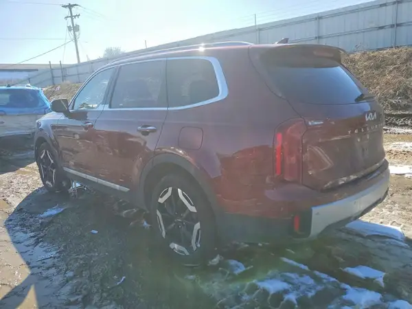 5XYP64GC1RG549623 2024 KIA TELLURIDE - Image 2