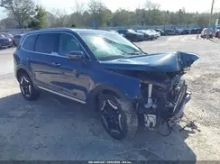 5XYP64GC1RG550772 2024 KIA TELLURIDE
