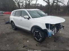 5XYP64GC1SG573068 2025 KIA TELLURIDE