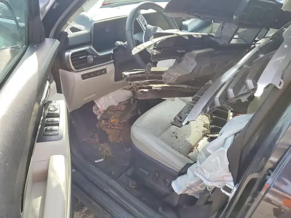 5XYP64GC1SG637092 2025 KIA TELLURIDE - Image 8