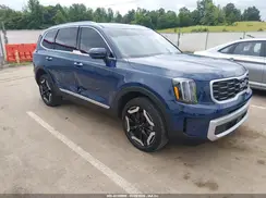 5XYP64GC1SG642504 2025 KIA TELLURIDE