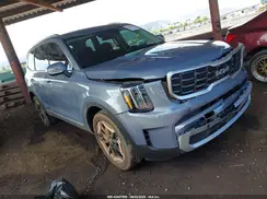 5XYP64GC1SG649355 2025 KIA TELLURIDE
