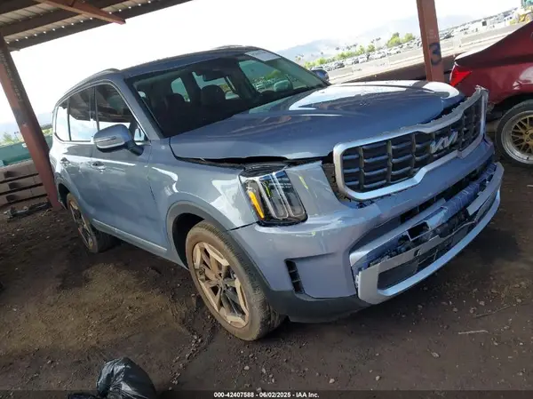 5XYP64GC1SG649355 2025 KIA TELLURIDE - Image 1
