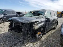 5XYP64GC1SG681335 2025 KIA TELLURIDE