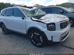 5XYP64GC2PG357382 2023 KIA TELLURIDE