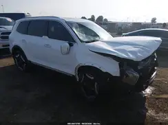 5XYP64GC2RG423707 2024 KIA TELLURIDE