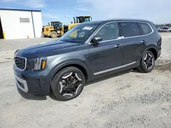 5XYP64GC2RG551607 2024 KIA TELLURIDE