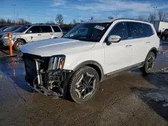 5XYP64GC3PG395719 2023 KIA TELLURIDE