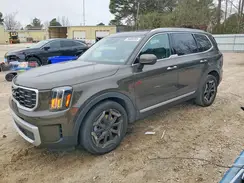 5XYP64GC3RG419603 2024 KIA TELLURIDE