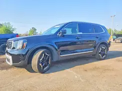 5XYP64GC3RG464332 2024 KIA TELLURIDE