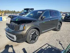 5XYP64GC3RG499047 2024 KIA TELLURIDE