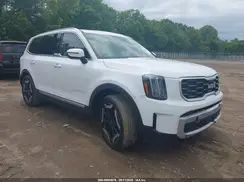5XYP64GC3RG507339 2024 KIA TELLURIDE