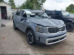 5XYP64GC3RG519393 2024 KIA TELLURIDE