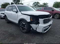 5XYP64GC3RG525033 2024 KIA TELLURIDE
